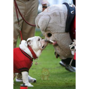 Costume de mascotte BIGGYMONKEY™ de chien de bulldog gris -