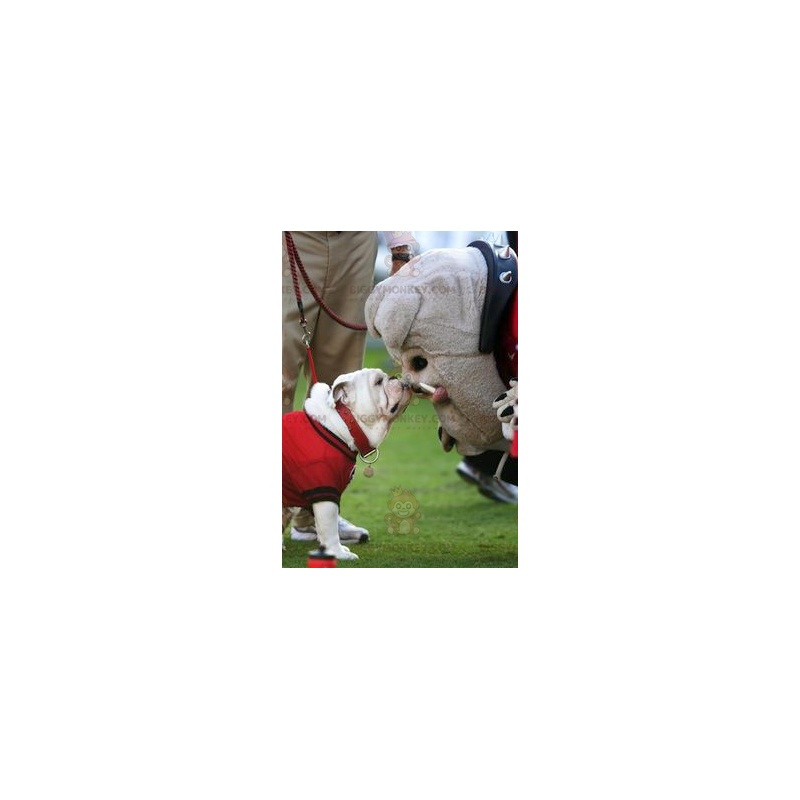 Disfraz de mascota BIGGYMONKEY™ para perro Bulldog gris -