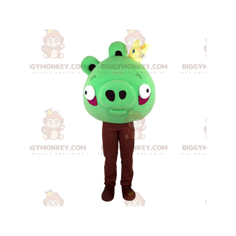 Disfraz de mascota de Angry Birds verde BIGGYMONKEY™. Disfraz