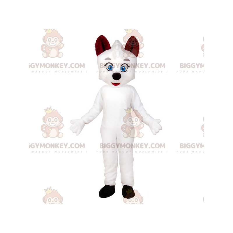 Blue Eyed White Cat BIGGYMONKEY™ mascottekostuum. Witte hond