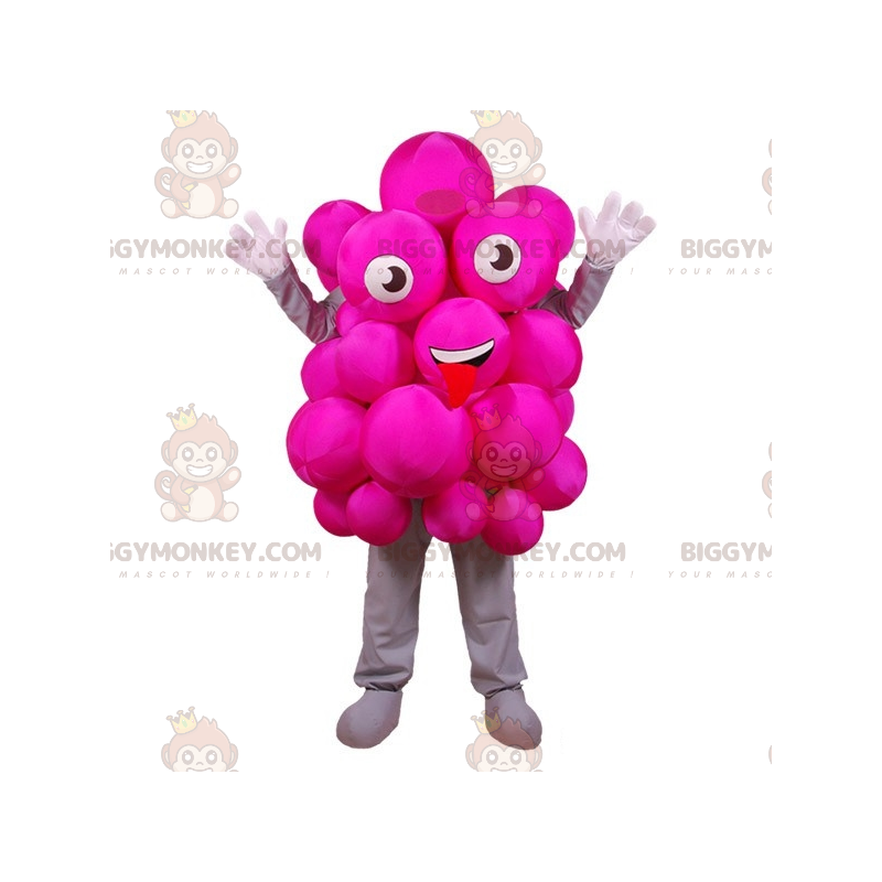 Fantasia de mascote BIGGYMONKEY™ de uvas cor-de-rosa. Traje de