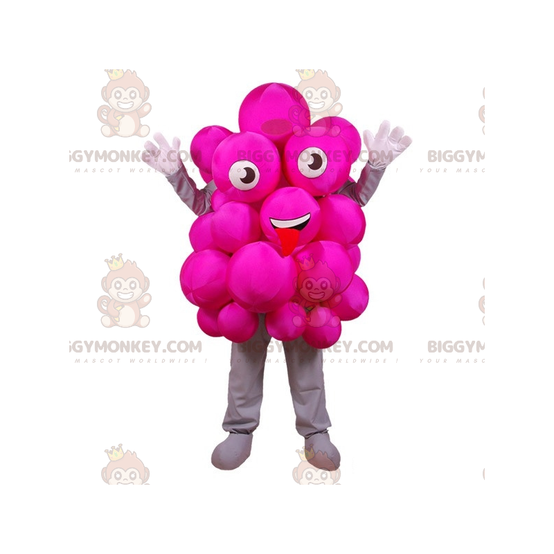 Kostium maskotki Różowe Winogrona BIGGYMONKEY™. Świąteczny