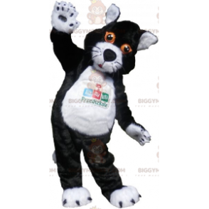 BIGGYMONKEY™ Mascot Costume Black and White Cat with Orange