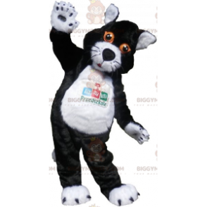 Disfraz de mascota BIGGYMONKEY™ Gato blanco y negro con ojos