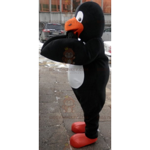 Black White Orange Penguin BIGGYMONKEY™ Mascot Costume. penguin