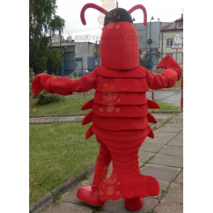 Costume de mascotte BIGGYMONKEY™ de homard. Costume de mascotte