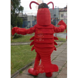 Traje de mascote de lagosta BIGGYMONKEY™. Traje de mascote de