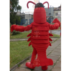 Costume de mascotte BIGGYMONKEY™ de homard. Costume de mascotte