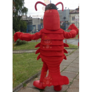 Traje de mascote de lagosta BIGGYMONKEY™. Traje de mascote de