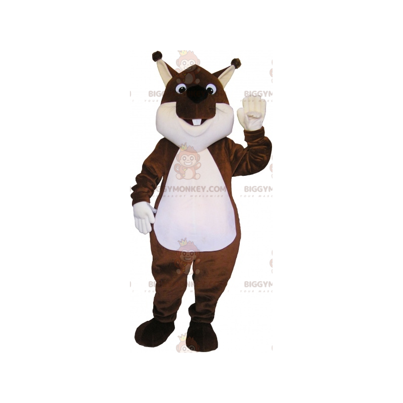 Meget sød og fyldig brun og hvid egern BIGGYMONKEY™ maskot