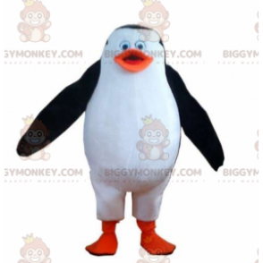 Traje de mascote roliço e fofo de pinguim preto e laranja