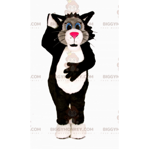 Disfraz de mascota BIGGYMONKEY™ Gato tricolor con ojos azules -