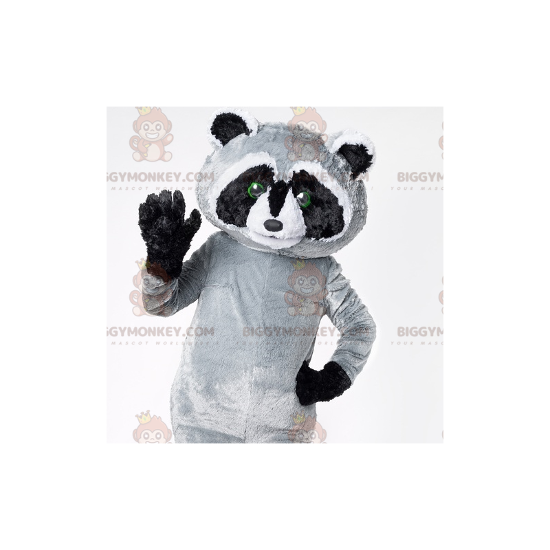 Kæmpe sort grå og hvid vaskebjørn BIGGYMONKEY™ maskotkostume -