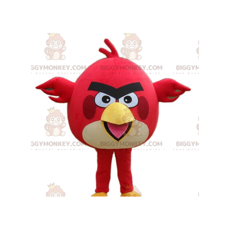 Kostým maskota Červený a bílý pták BIGGYMONKEY™ ze hry Angry