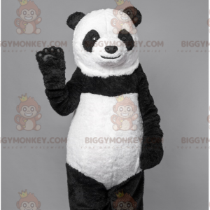 Svart och vit björnpanda BIGGYMONKEY™ maskotdräkt. björndräkt -