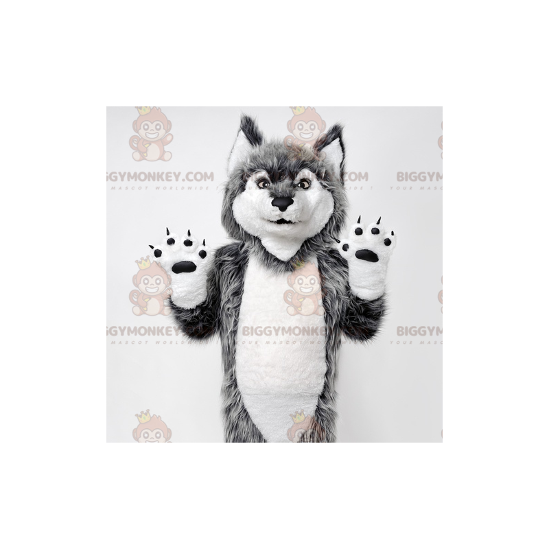 Gray and White Wolf BIGGYMONKEY™ Mascot Costume. Wolfdog