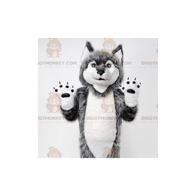 Grijze en witte wolf BIGGYMONKEY™ mascottekostuum. Wolfhond