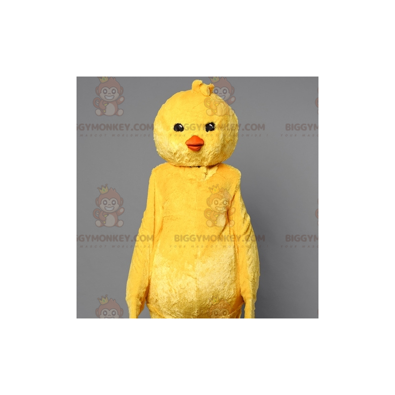 Costume da mascotte pulcino giallo BIGGYMONKEY™. Costume da