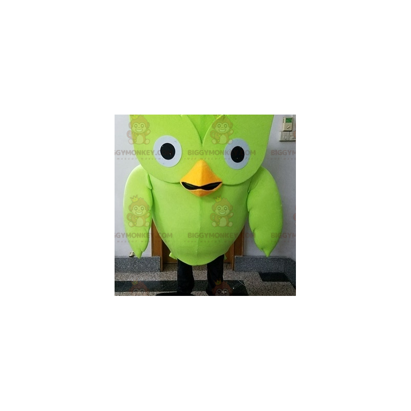 Fantasia de mascote de pássaro verde coruja gigante