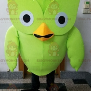 Fantasia de mascote de pássaro verde coruja gigante