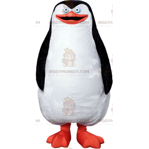 Pullea ja söpö valkoinen musta ja oranssi pingviini