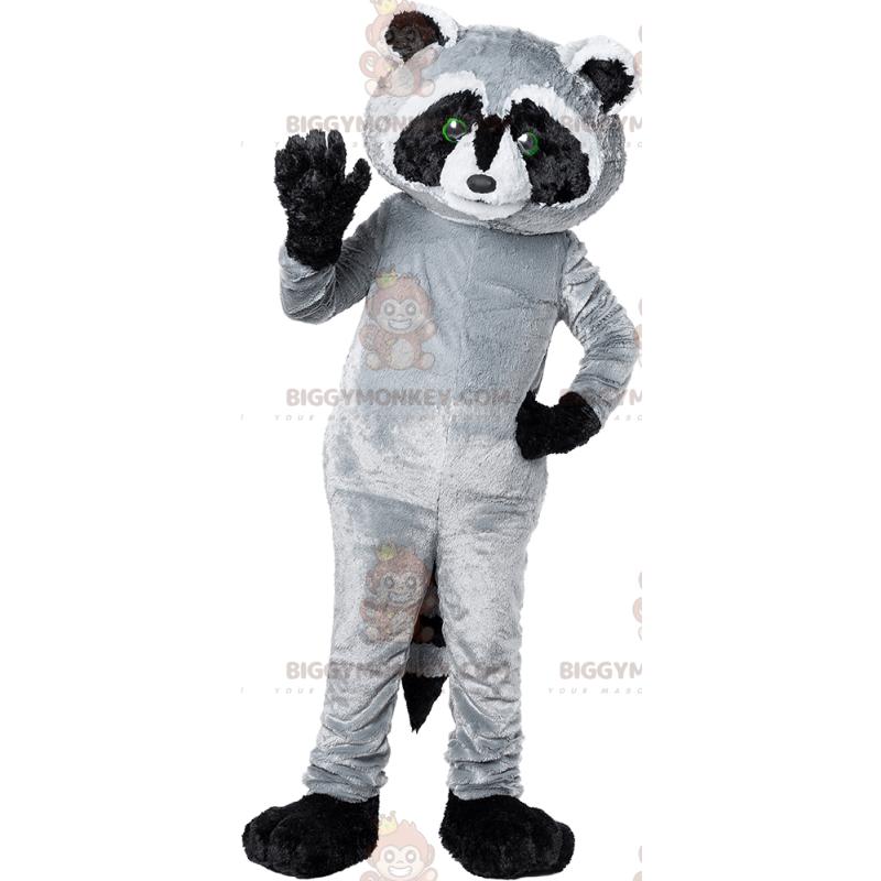 Costume da mascotte gigante nero grigio e procione bianco