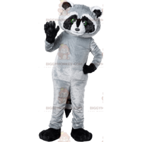 Costume da mascotte gigante nero grigio e procione bianco