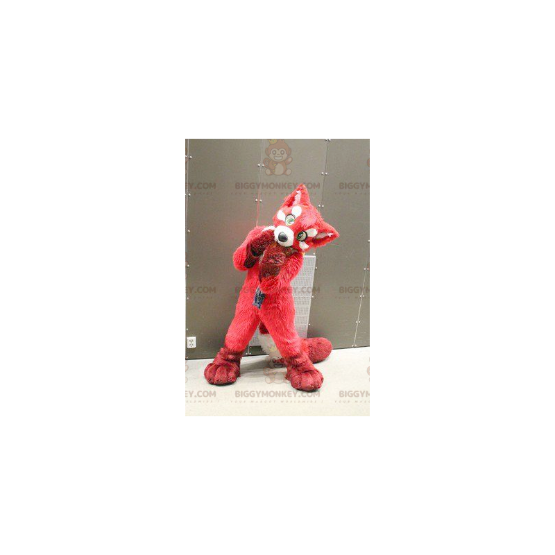 Costume da mascotte cane BIGGYMONKEY™ Red Fox - Biggymonkey.com