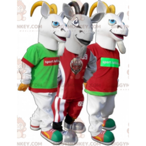 3 BIGGYMONKEY™s rams goats goats mascot. Set of 3 mascot