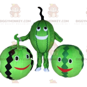 BIGGYMONKEY™ mascot costume watermelon costume. Watermelon