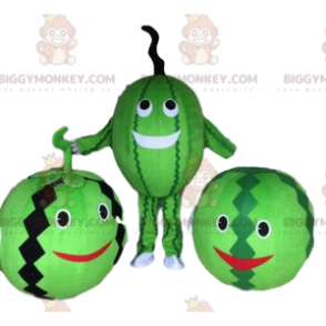 BIGGYMONKEY™ maskot kostume vandmelon kostume. Vandmelon fancy