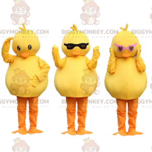 3 BIGGYMONKEY™s mascotte kuikens, gele kanaries. vogel kostuum