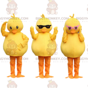 3 BIGGYMONKEY™s maskotkycklingar, gula kanariefåglar. fågel