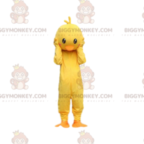 Fato de pintainho amarelo e laranja. Traje de mascote Canário