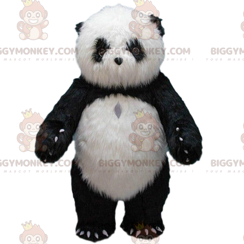 Giant Panda BIGGYMONKEY™ maskotkostume, pandakostume, Asia