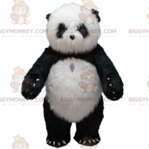 Giant Panda BIGGYMONKEY™ maskotkostume, pandakostume, Asia