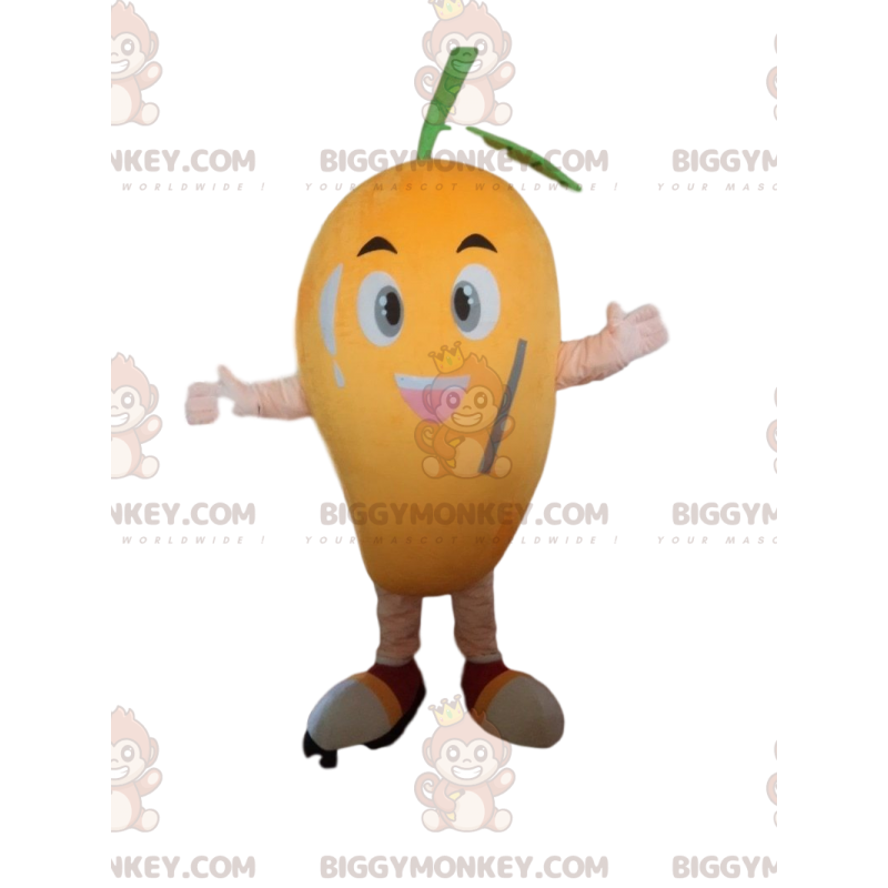 Costume de mascotte BIGGYMONKEY™ de mangue, costume de fruit