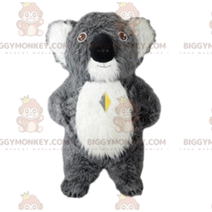 BIGGYMONKEY™ costume mascotte koala grigio, costume Australia