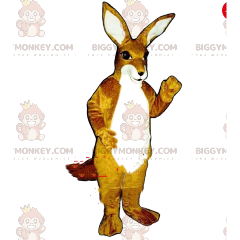 Kangaroo BIGGYMONKEY™ maskottiasu, kenguruasu, Australian eläin