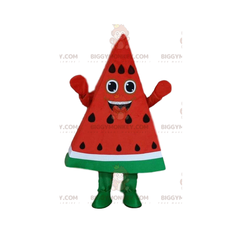 Watermeloen BIGGYMONKEY™ mascottekostuum, stuk watermeloen