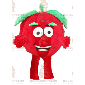 Kostým maskota Tomato BIGGYMONKEY™, kostým ze zeleniny