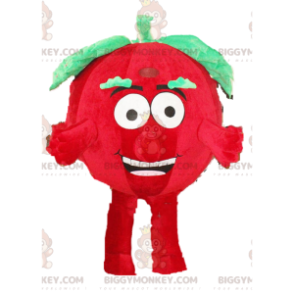 Tomaat BIGGYMONKEY™ mascottekostuum, groentekostuum, rood