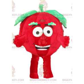 Tomaatti BIGGYMONKEY™ maskottiasu, kasvisasu, punaisen