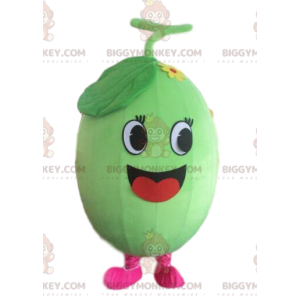 Costume da mascotte Melone BIGGYMONKEY™, costume da anguria