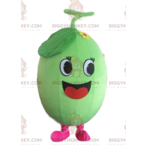 Meloen BIGGYMONKEY™ mascottekostuum, watermeloenkostuum