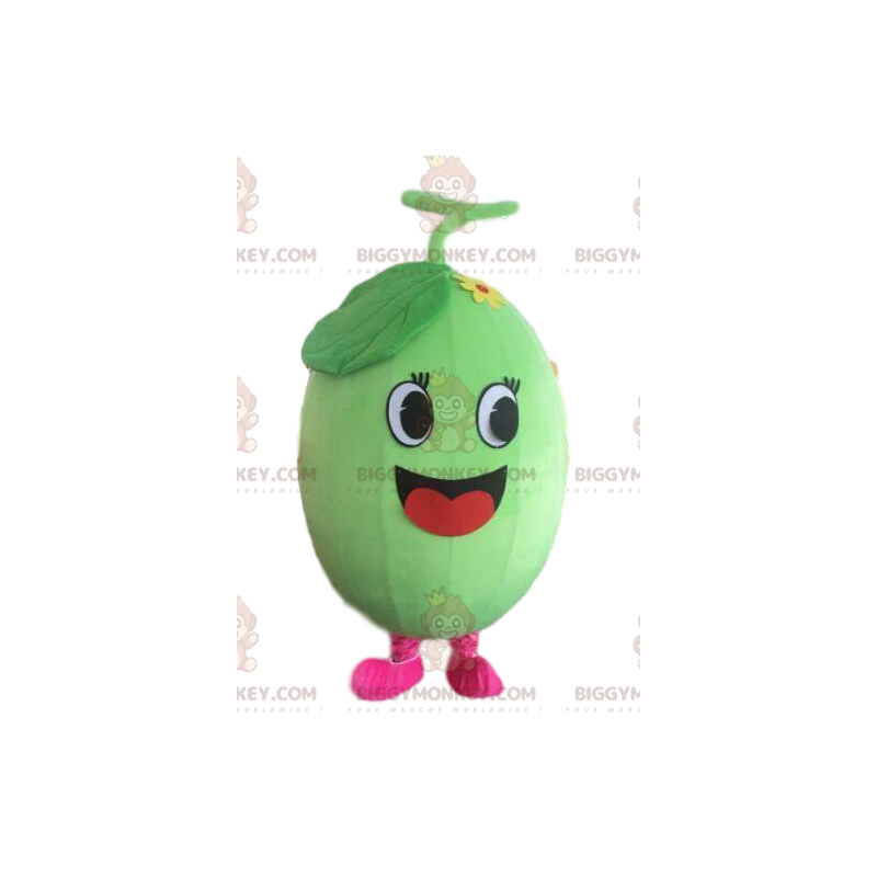 Kostým maskota melounu BIGGYMONKEY™, kostým vodního melounu