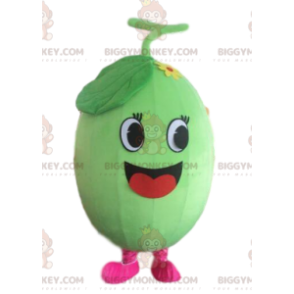 Kostým maskota melounu BIGGYMONKEY™, kostým vodního melounu