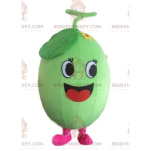 Melon BIGGYMONKEY™ maskotkostume, vandmelonkostume