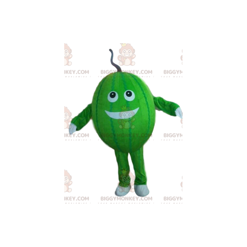 Costume da melone, costume da mascotte da melone BIGGYMONKEY™