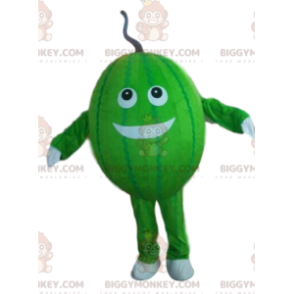 Costume da melone, costume da mascotte da melone BIGGYMONKEY™